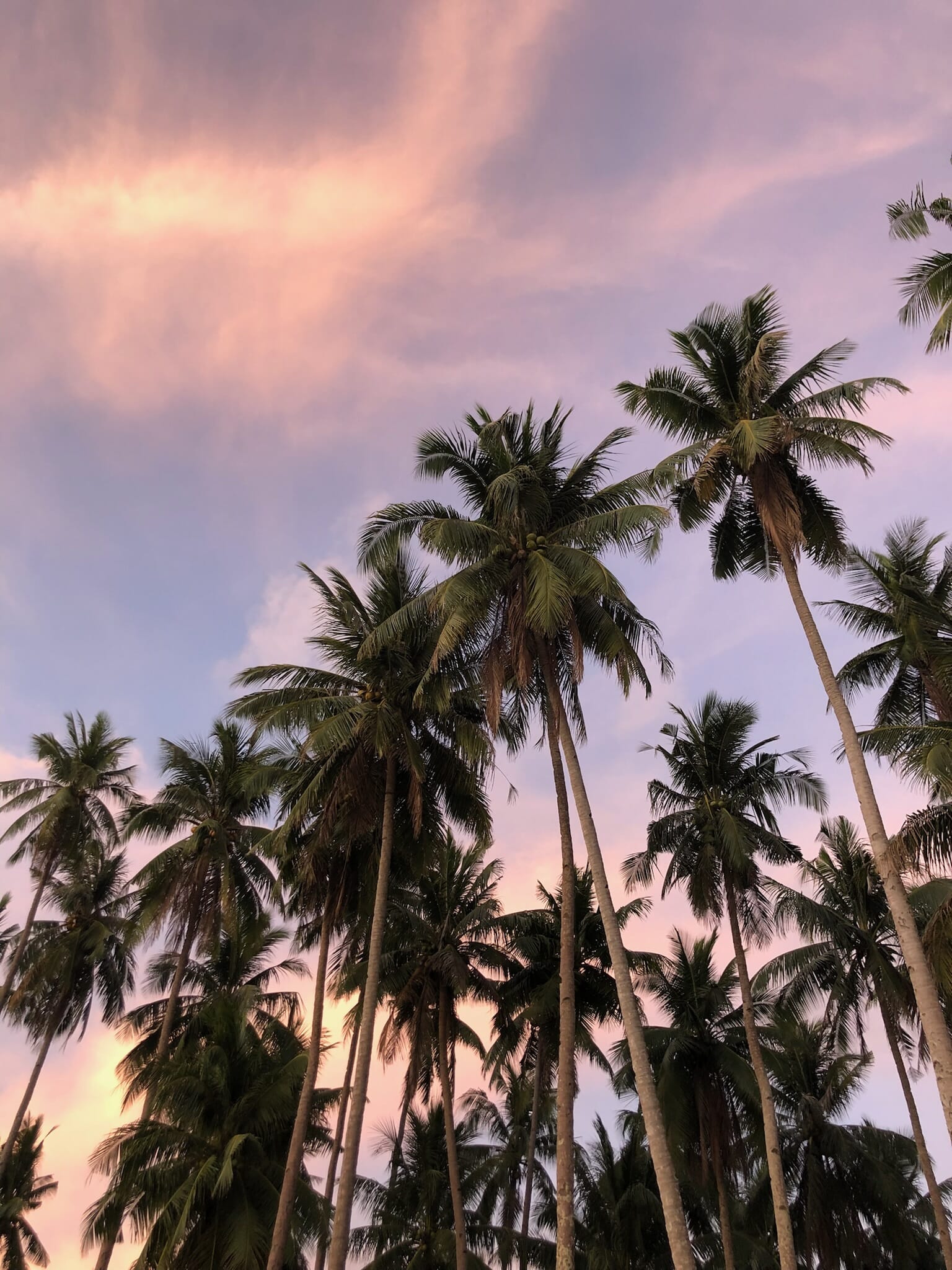 Atardeceres preciosos que vivirás en tu viaje a Filipinas