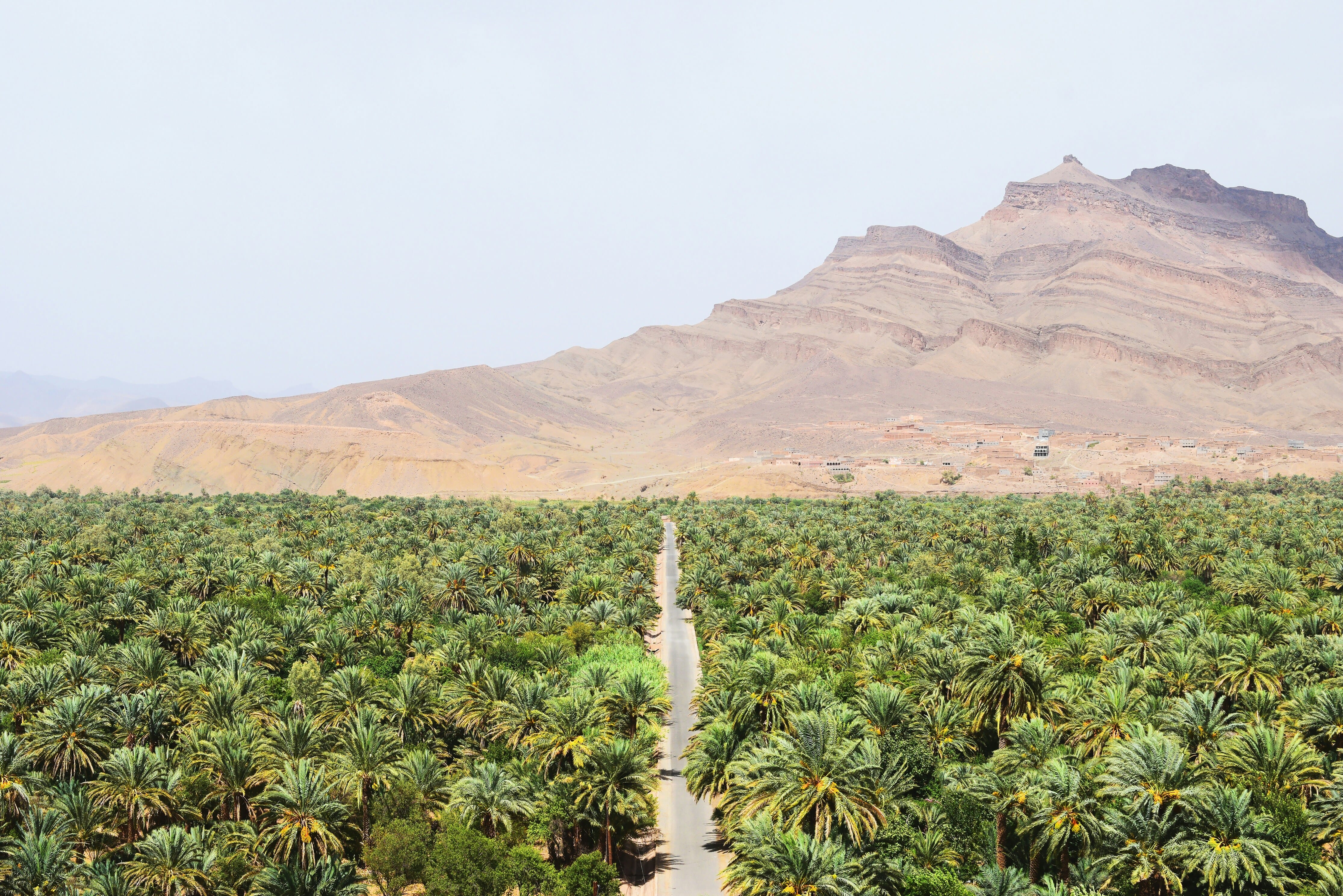 Mezcla común de oasis verdes y desierto de roca rojiza con arena